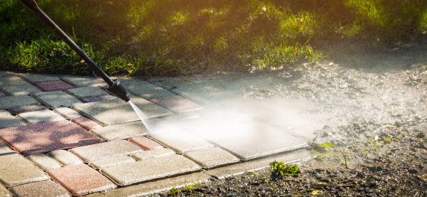 Best Rust Removal  in Naples Park, FL